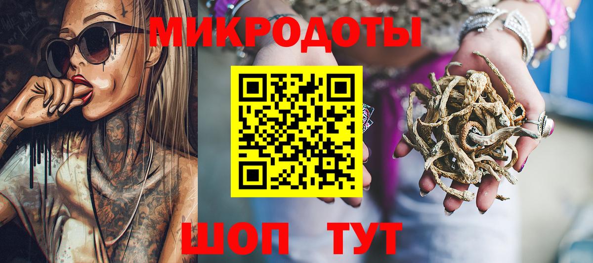 Псилоцибиновые грибы Psilocybe Муром